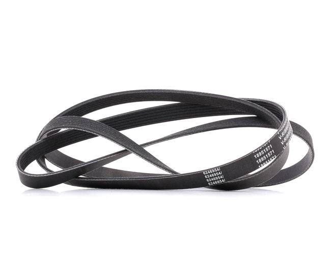 RIDEX PLUS 305P0101P Multiriem LAND ROVER Range Rover 3 (L322) 306 Pk Benzine kosten