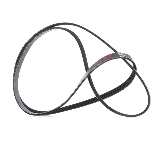 RIDEX PLUS 305P0160P: Correa trapecial poli V 1745mm, Número de nervaduras: 5