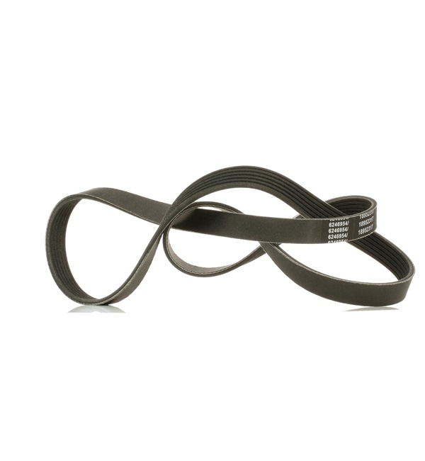 RIDEX PLUS 305P0144P Ιμάντας poly-V SEAT Toledo 4 (KG3) 75 PS Βενζίνη κόστος