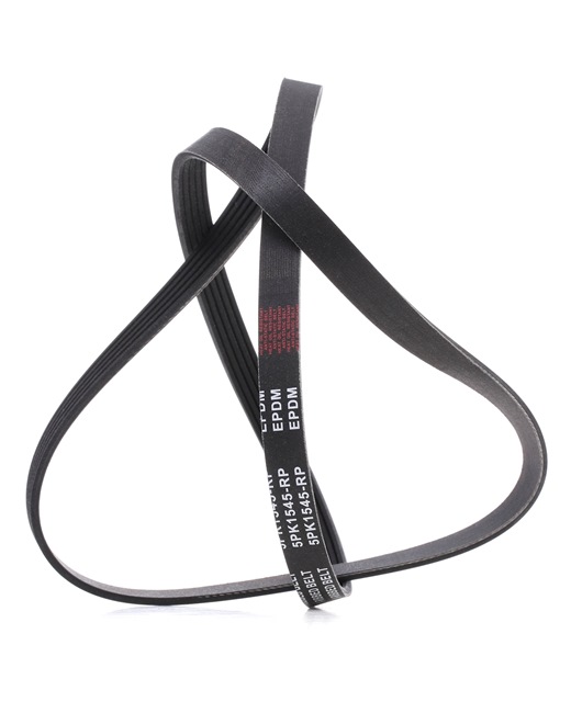 RIDEX PLUS 305P0041P: Multireim 1545mm, Ribbeantall: 5