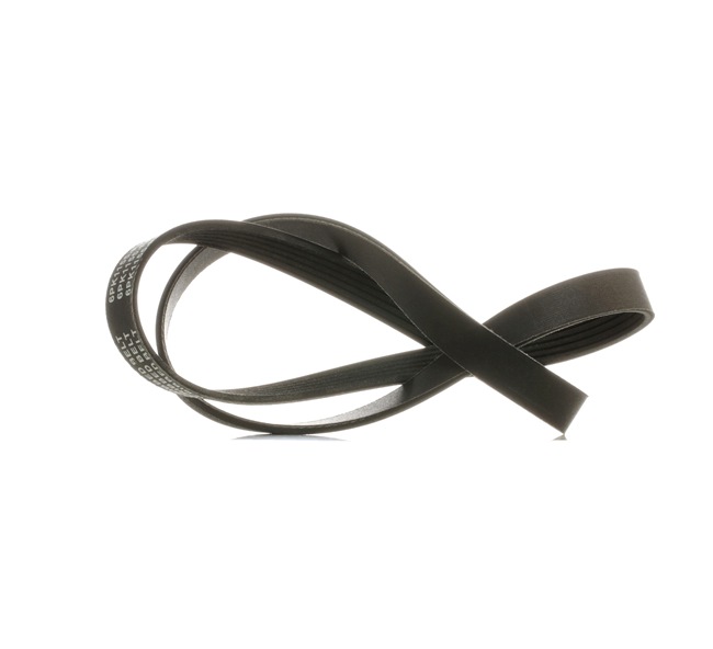 RIDEX PLUS 305P0118P Ιμάντας poly-V SEAT TOLEDO 1 (1L) 73 PS Βενζίνη κόστος