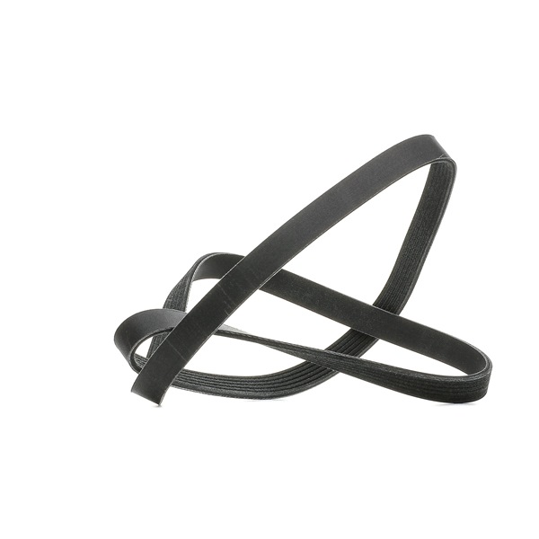 RIDEX PLUS 305P0287P: Correa trapecial poli V 1693mm, Número de nervaduras: 6