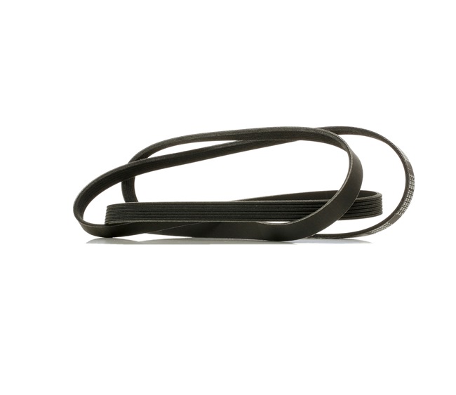 RIDEX PLUS 305P0365P: Keilrippenriemen 2500mm, Rippenanzahl: 6