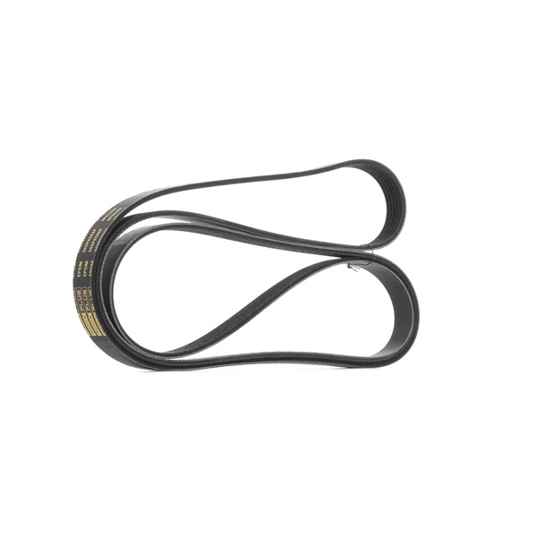 RIDEX PLUS 305P0206P Пистов ремък AUDI A8 (4H2, 4H8, 4HC, 4HL) 333 K.C. бензин цена