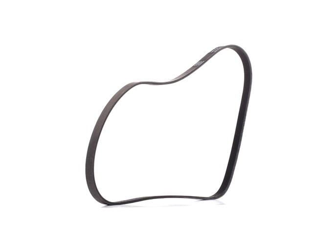 RIDEX PLUS 305P0193P Multireim OPEL Corsa B Hatchback (S93) 65 hk Bensin hva koster