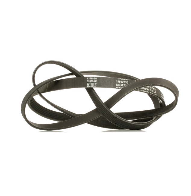 RIDEX PLUS 305P0162P Пистов ремък BMW 7 (E65, E66, E67) 231 K.C. дизел цена