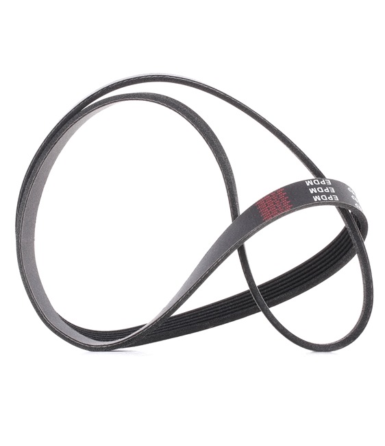 RIDEX PLUS 305P0140P: Multireim 1437mm, Ribbeantall: 6