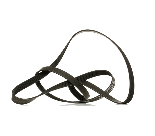 RIDEX PLUS 305P0343P: Courroie Poly-V 2120mm, Nombre de gorges: 6