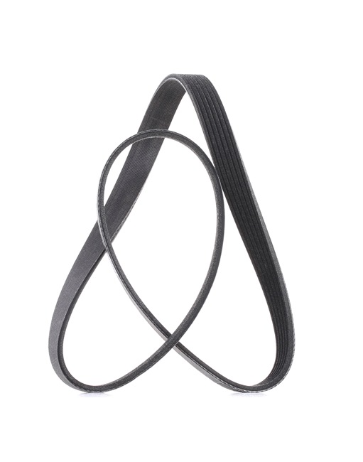 RIDEX PLUS 305P0058P: Correa trapecial poli V 1115mm, Número de nervaduras: 6