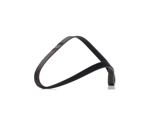 RIDEX PLUS 305P0425P Ιμάντας poly-V SEAT Toledo 4 (KG3) 110 PS Βενζίνη κόστος