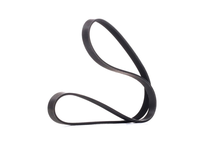 RIDEX PLUS 305P0474P: Keilrippenriemen 1236mm, Rippenanzahl: 5, Elastic