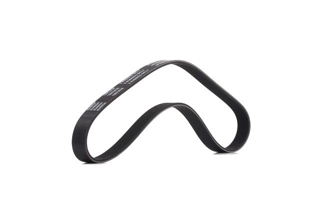 RIDEX PLUS 305P0048P Ιμάντας poly-V SEAT Toledo 3 (5P2) 150 PS Βενζίνη κόστος