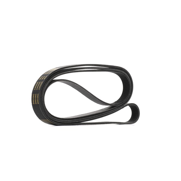 RIDEX PLUS 305P0481P Multiriem FORD Transit Mk7 Bus (V363, FAD, FBD) 125 Pk Diesel kosten