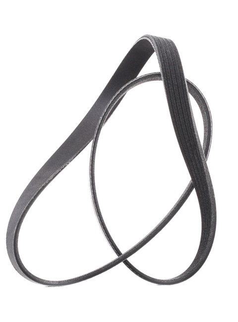 RIDEX PLUS 305P0176P: Keilrippenriemen 1025mm, Rippenanzahl: 5