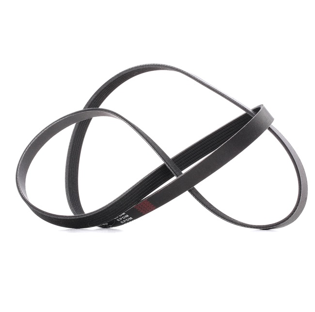 RIDEX PLUS 305P0508P: Correa trapecial poli V 1780mm, Número de nervaduras: 6