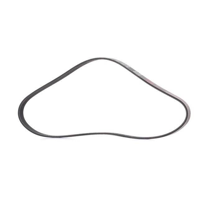 RIDEX PLUS 305P0164P: Пистов ремък 1005,0mm, брой на ребрата: 5