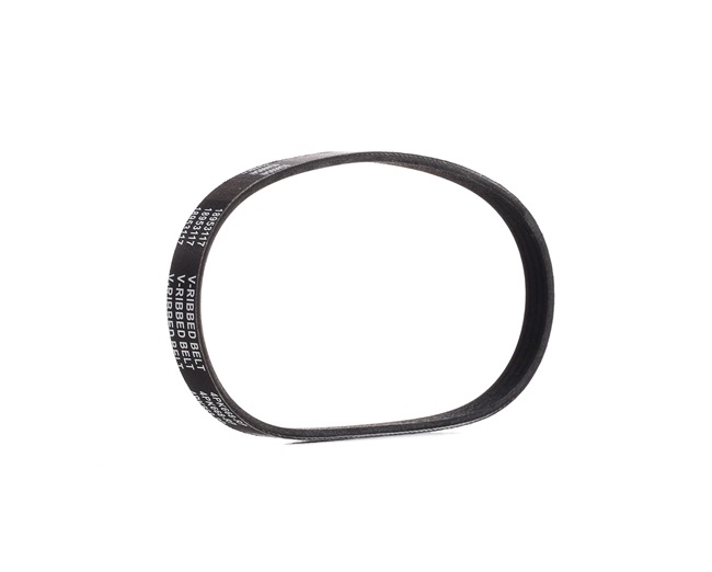 RIDEX PLUS 305P0502P Cinghia servizi LANCIA YPSILON (843) 78 CV Benzina costo