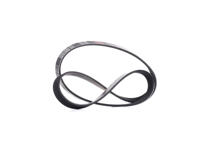 RIDEX PLUS 305P0159P: Multireim 1250mm, Ribbeantall: 5