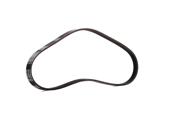 RIDEX PLUS 305P0293P: Correa trapecial poli V 960mm, Número de nervaduras: 4