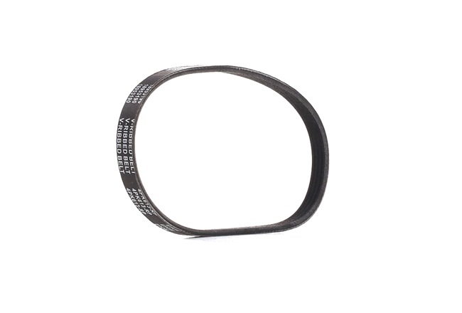 RIDEX PLUS 305P0168P: Correa trapecial poli V 613mm, Número de nervaduras: 4