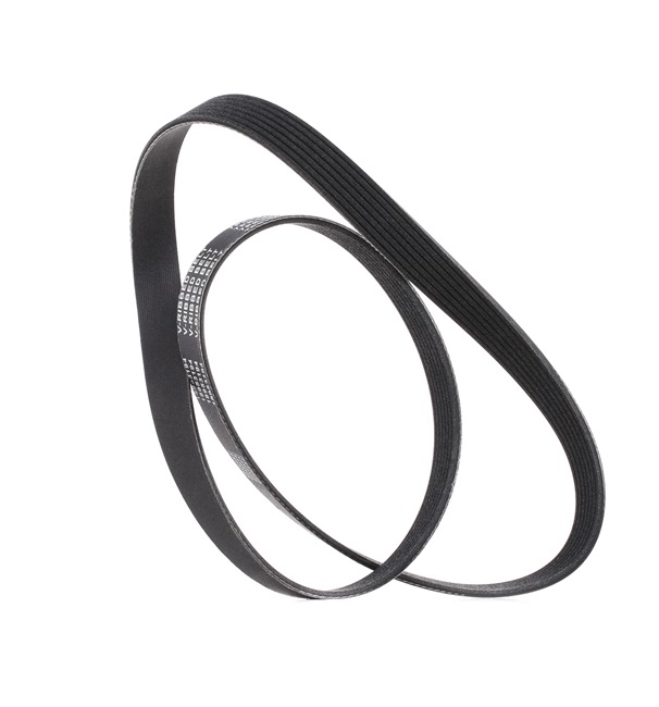 RIDEX PLUS 305P0561P Ιμάντας poly-V RENAULT Twingo 3 (BCM_) 73 PS Βενζίνη κόστος