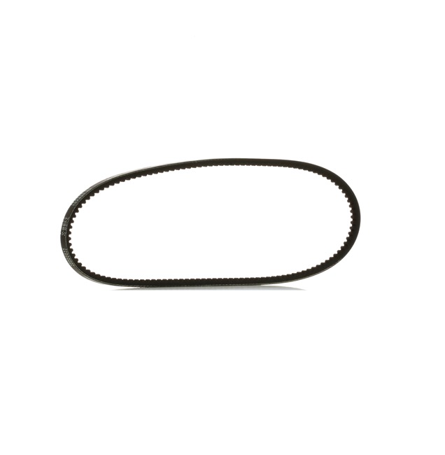 RIDEX PLUS 10C0008P: Correa trapezoidal 825mm