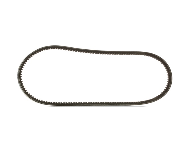 RIDEX PLUS 10C0036P: Correa trapezoidal 950mm