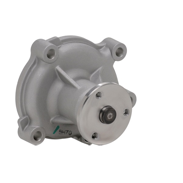 RIDEX PLUS 1260W0007P: Ūdenssūknis ar blīvi