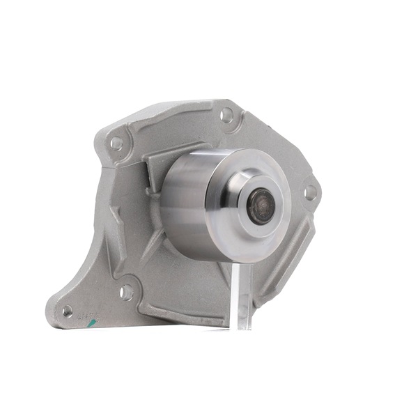 RIDEX PLUS 1260W0016P: Pompe à eau