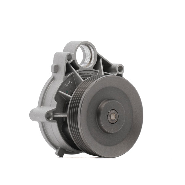 RIDEX PLUS 1260W0133P: Bomba de agua