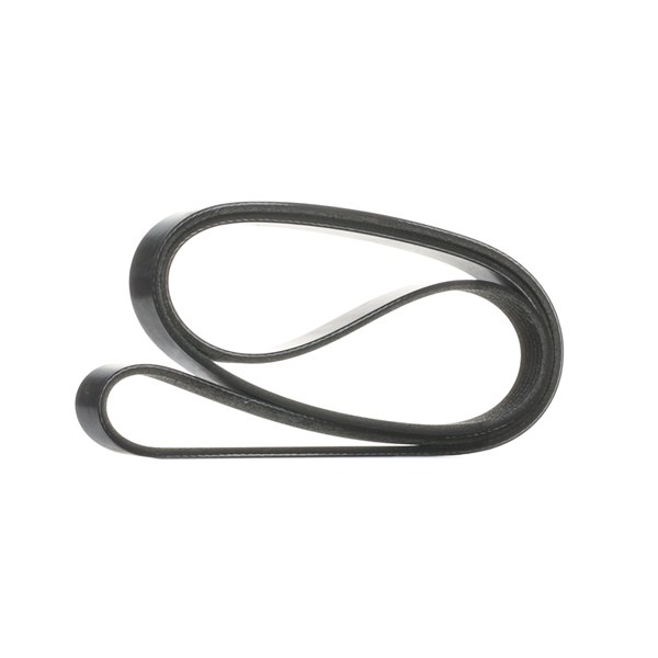 RIDEX 305P0647 Ιμάντας poly-V FORD C-Max 2 (DXA/CB7, DXA/CEU) 125 PS Βενζίνη κόστος