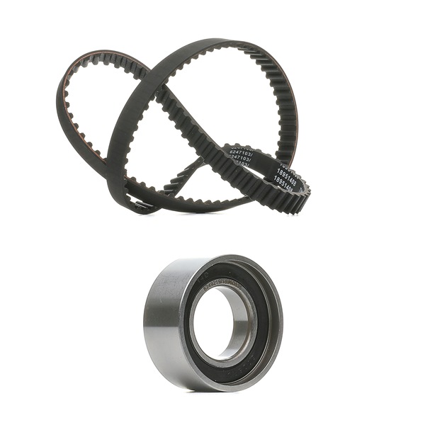 RIDEX PLUS 307T0073P: Kit de correa de distribución usable en vehículos con corriente de carga de alternador: 125