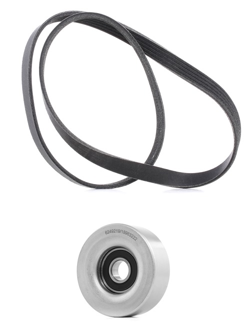 RIDEX PLUS 542R0023P Kit Cinghie Poly-V RENAULT MODUS / GRAND MODUS (F/JP0_) 112 CV Benzina costo