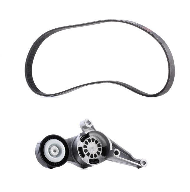 RIDEX PLUS 542R0007P Poly V-riem set VOLKSWAGEN Passat Variant (3C5) 105 Pk Diesel kosten