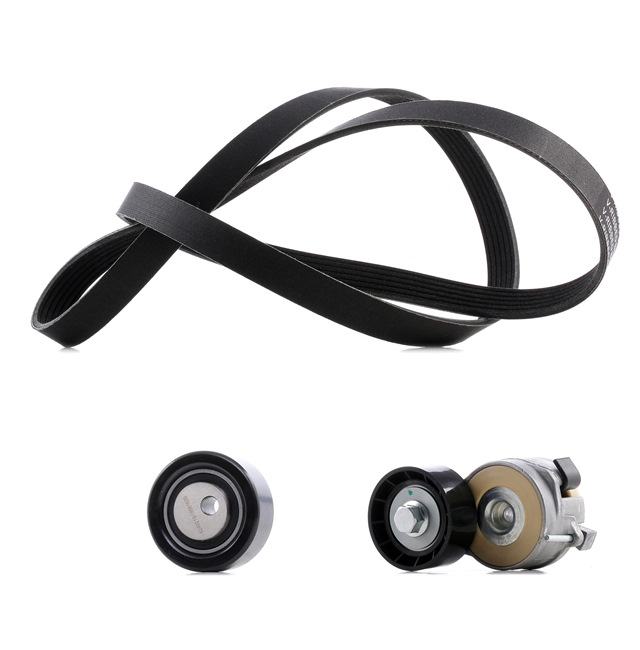 RIDEX PLUS 542R0048P Keilrippenriemensatz CITROЁN C5 II Break (RE_) 109 PS Diesel Kosten