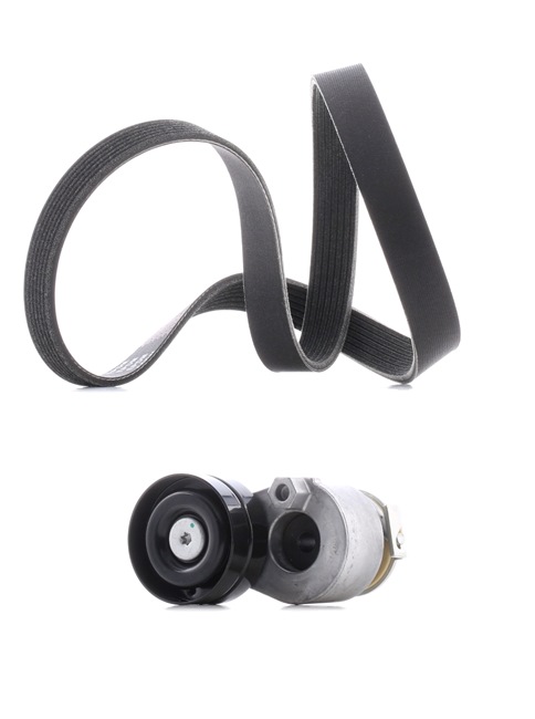 RIDEX PLUS 542R0029P Комплект пистов ремък RENAULT MEGANE 2 Coupe-Cabriolet (EM0/1) 139 K.C. бензин цена