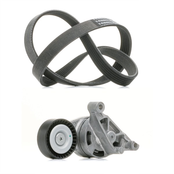 RIDEX PLUS 542R0044P V formos rumbuotas diržas, komplektas VOLKSWAGEN Passat Variant (3C5) 163 AG dyzelinas kaina