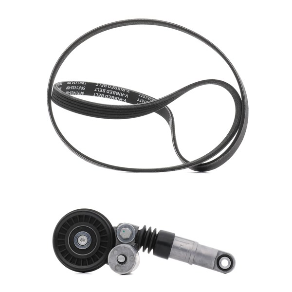RIDEX PLUS 542R0069P Kit Cinghie Poly-V VOLKSWAGEN PASSAT Variant (3B5) 115 CV Diesel costo