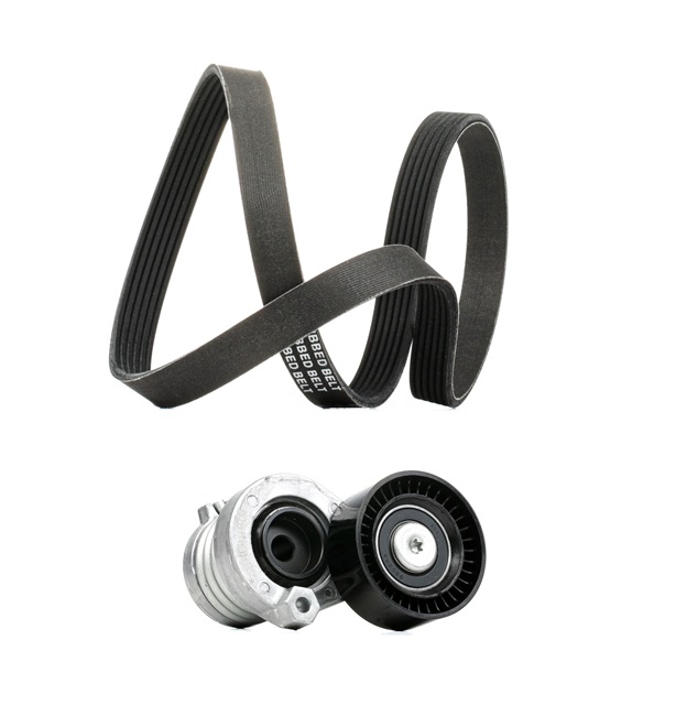 RIDEX PLUS 542R0108P Σετ ιμάντων poly-V RENAULT Fluence (L3_) 110 PS Πετρέλαιο κόστος