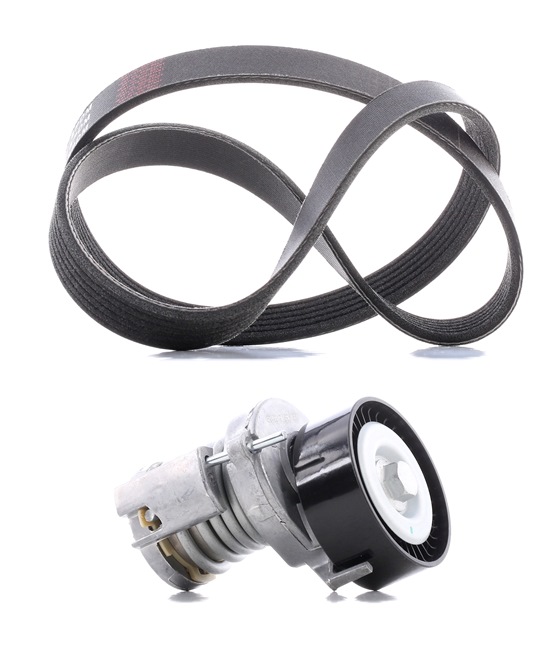 RIDEX PLUS 542R0134P Poly V-riem set SKODA FELICIA 1 (6U1) 75 Pk Benzine kosten