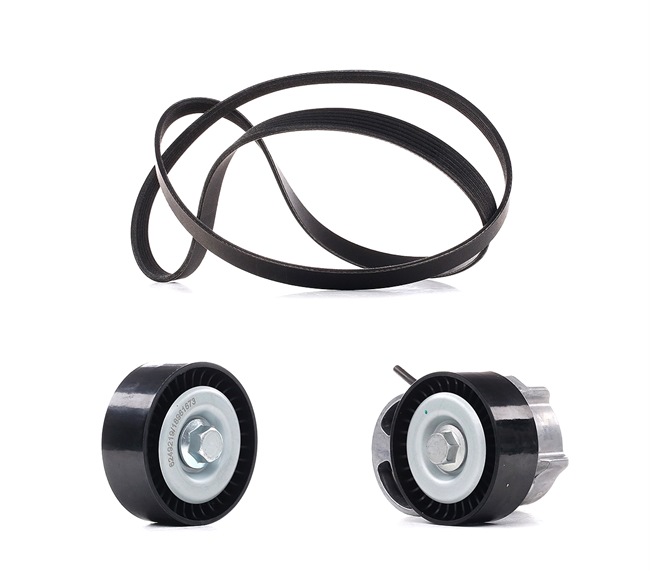 RIDEX PLUS 542R0110P: Juego de correas trapeciales poli V