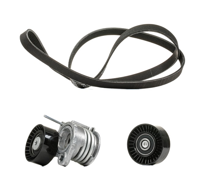 RIDEX PLUS 542R0174P Комплект пистов ремък BMW 3 (E90) 204 K.C. дизел цена