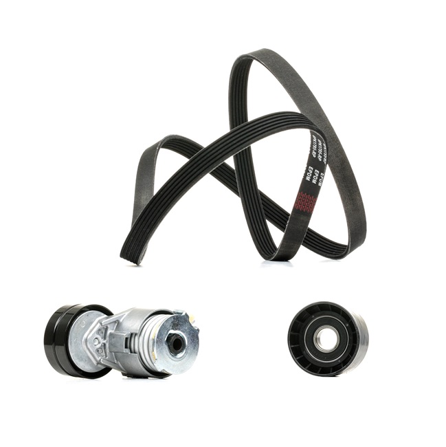 RIDEX PLUS 542R0020P: Kileremsett