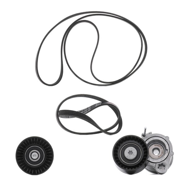 RIDEX PLUS 542R0071P Комплект пистов ремък BMW 3 Touring (E91) 163 K.C. дизел цена
