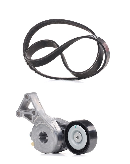 RIDEX PLUS 542R0045P Poly V-riem set VOLKSWAGEN Passat Variant (3C5) 150 Pk Benzine kosten