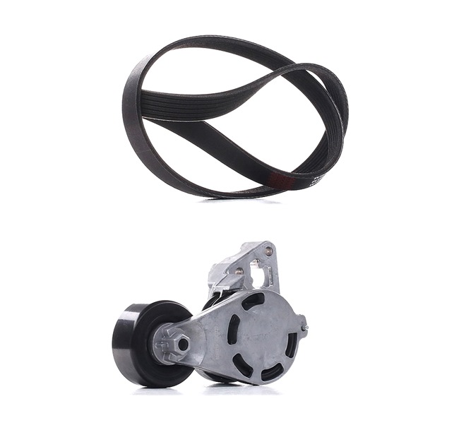 RIDEX PLUS 542R0195P Poly V-riem set AUDI A2 (8Z0) 90 Pk Diesel kosten