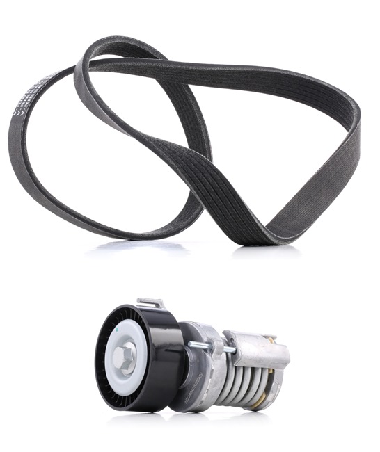 RIDEX PLUS 542R0036P Poly V-riem set SKODA FELICIA 1 (6U1) 75 Pk Benzine kosten