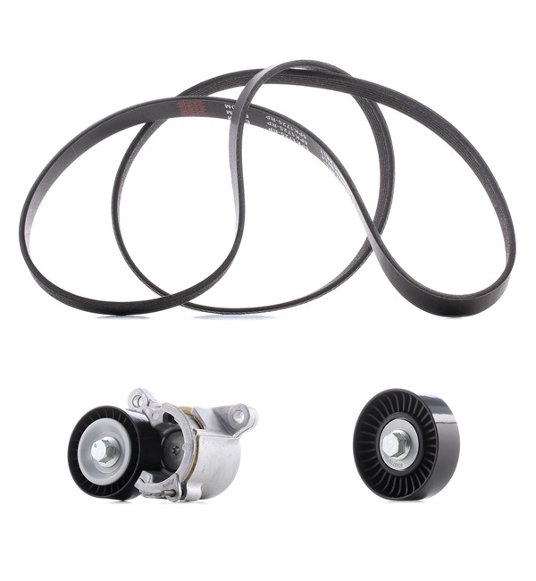 RIDEX PLUS 542R0154P: Juego de correas trapeciales poli V