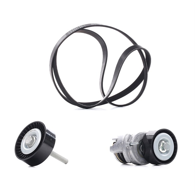 RIDEX PLUS 542R0281P Комплект пистов ремък VW Passat Variant (3C5) 115 K.C. бензин цена