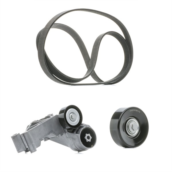 RIDEX PLUS 542R0012P Комплект пистов ремък FORD FOCUS (DAW, DBW) 115 K.C. дизел цена